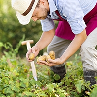 Common Hand Injuries You Can Get While Working in the Garden